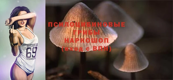 гашик Бугульма