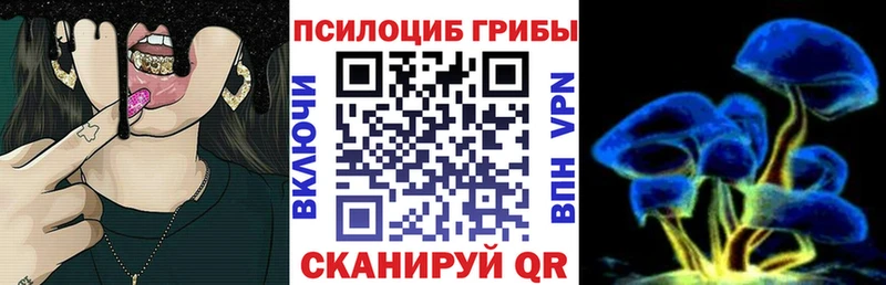 наркота  мега ссылки  Псилоцибиновые грибы Psilocybine cubensis  Ессентукская 
