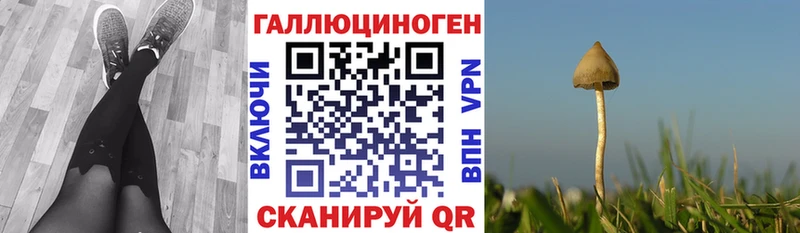 Псилоцибиновые грибы Magic Shrooms Ессентукская